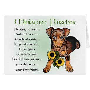 Miniature Pinscher Gifts
