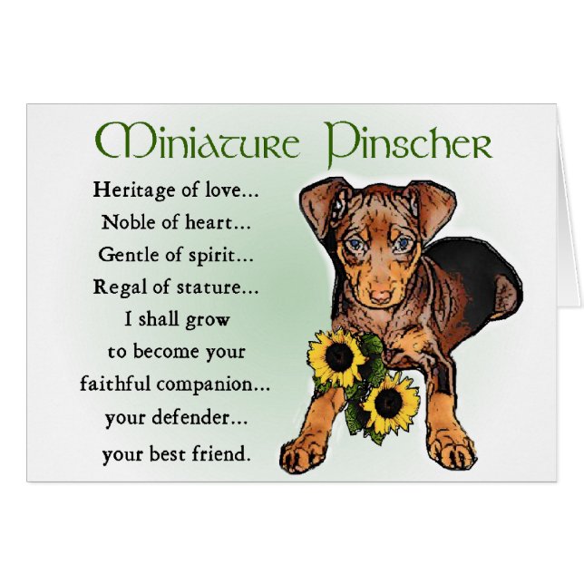 Miniature Pinscher Gifts (Vorderseite (Horizontal))