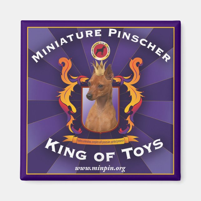 Miniature Pinscher, King of Toys Magnet (Vorne)
