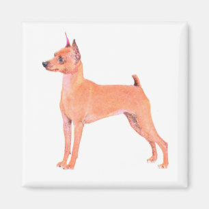 Miniature Pinscher Magnet