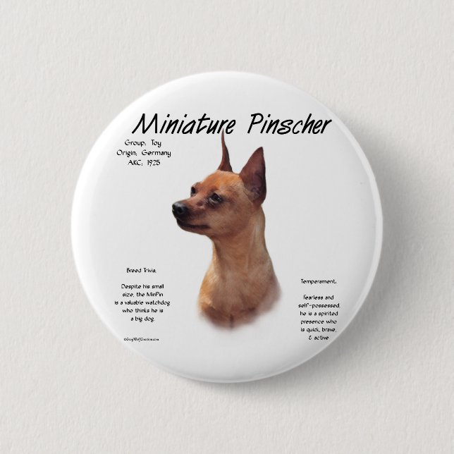 Miniature Pinscher (rot) Historie Design Button (Vorderseite)