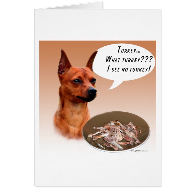 Miniature Pinscher Türkei (Vorne)