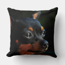 Miniature Pinscher-Wurfkissen