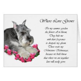 Miniature Schnauzer Art Ohrts