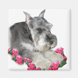 Miniature Schnauzer Art Ohrts Magnet