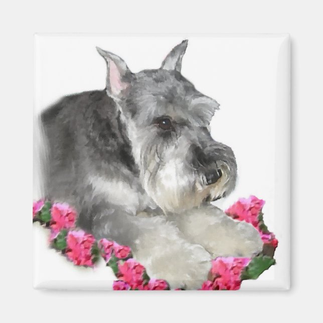 Miniature Schnauzer Art Ohrts Magnet (Vorne)