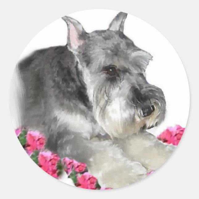 Miniature Schnauzer Art Ohrts Runder Aufkleber (Vorderseite)