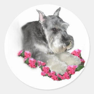 Miniature Schnauzer Art Ohrts Runder Aufkleber