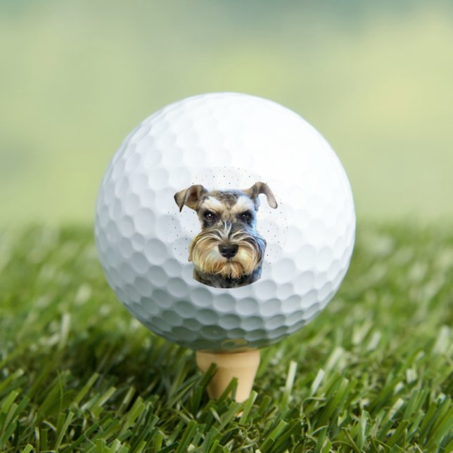 Miniature Schnauzer Dog Lover Süße Tier Golfball (Insitu T-Shirt)