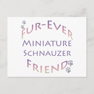 Miniature Schnauzer Furever Postkarte