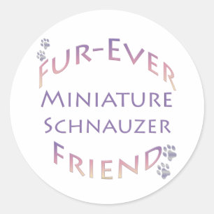 Miniature Schnauzer Furever Runder Aufkleber