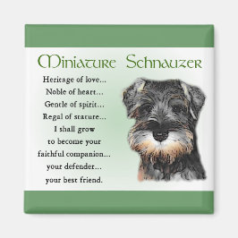 Miniature Schnauzer Geschenke Magnet