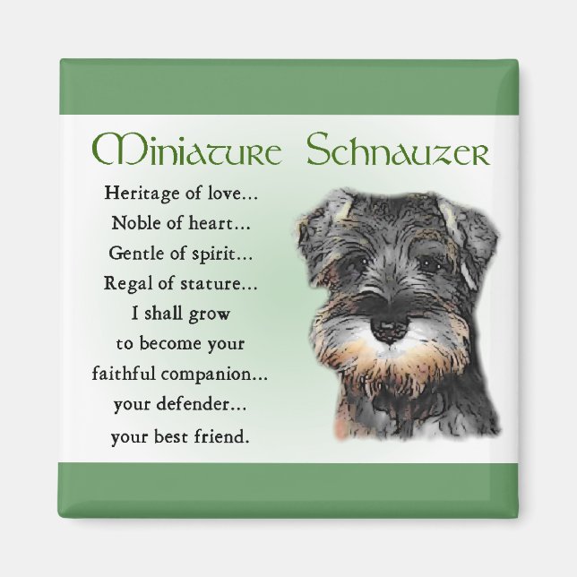 Miniature Schnauzer Geschenke Magnet (Vorne)