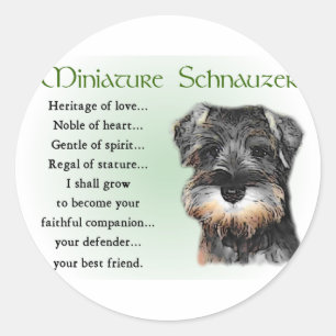 Miniature Schnauzer Geschenke Runder Aufkleber