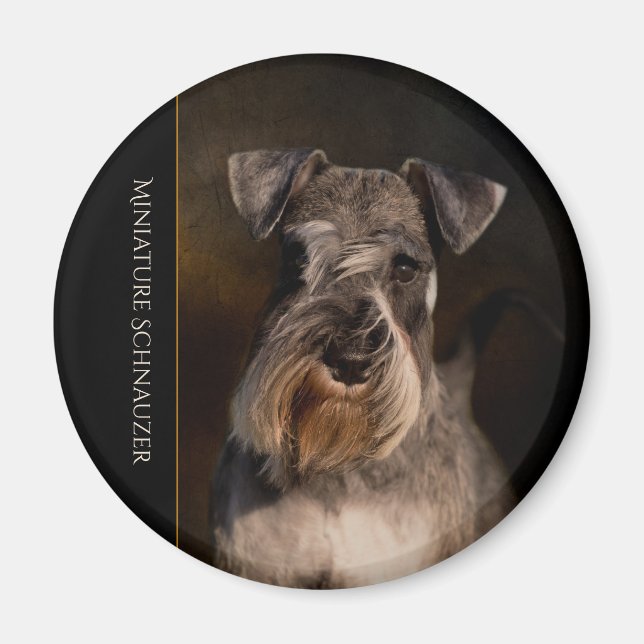 Miniature Schnauzer Kühlschrankmagnet Magnet (Vorne)