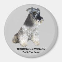 Miniature Schnauzer Magnet