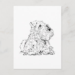 Miniature Schnauzer Postkarte – Hundeillustration