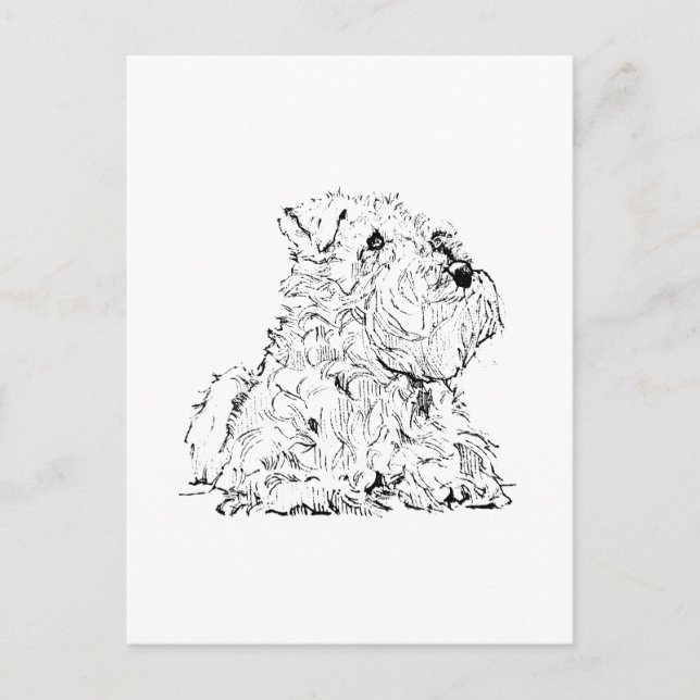 Miniature Schnauzer Postkarte – Hundeillustration (Vorderseite)