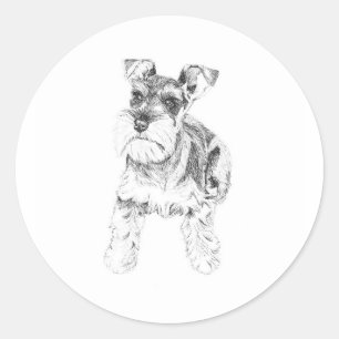 Miniature Schnauzer Sticker