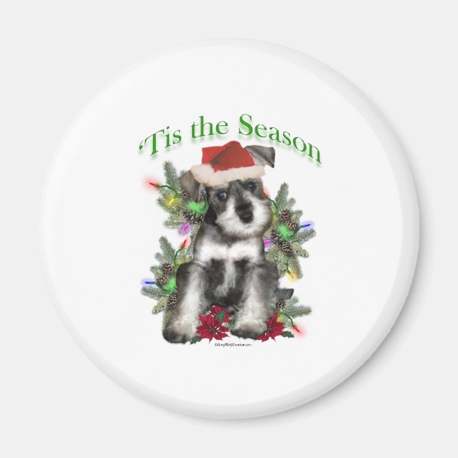 Miniature Schnauzer "Tis Magnet (Vorne)