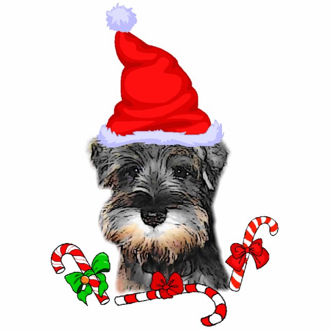 Miniature Schnauzer Weihnachtsgeschenke Fotoskulptur Ornament (Vorne)