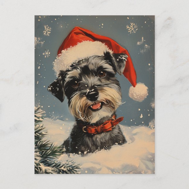 Miniature Schnauzer Weihnachtszeit Postkarte (Vorderseite)