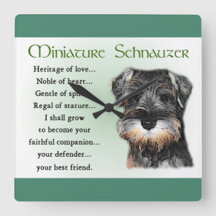 Miniature Schnauzer Welpengeschenke Quadratische Wanduhr