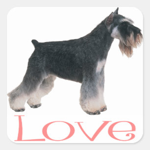 Miniature Schnauzer Welpenhund Pink Liebe Sticker