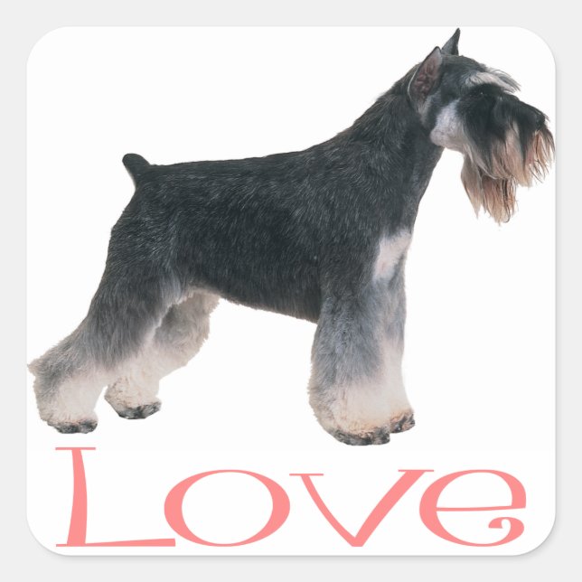 Miniature Schnauzer Welpenhund Pink Liebe Sticker (Vorderseite)