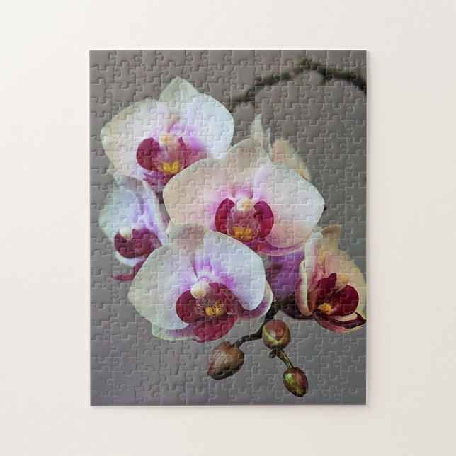 Miniaturorchidee Puzzle (Vertikal)