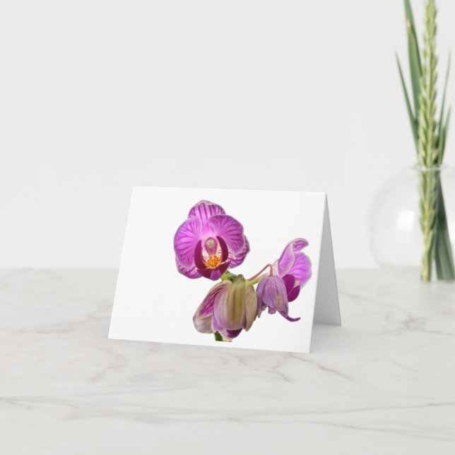 Miniaturorchideen-Anmerkungen Dankeskarte (Vorderseite)