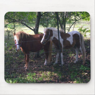 Miniaturpferd Mousepad