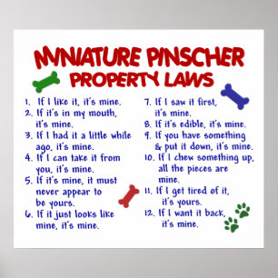 MINIATURPINSCHER PL2 POSTER