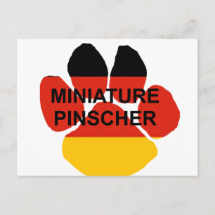 Miniaturpinscher Postkarte