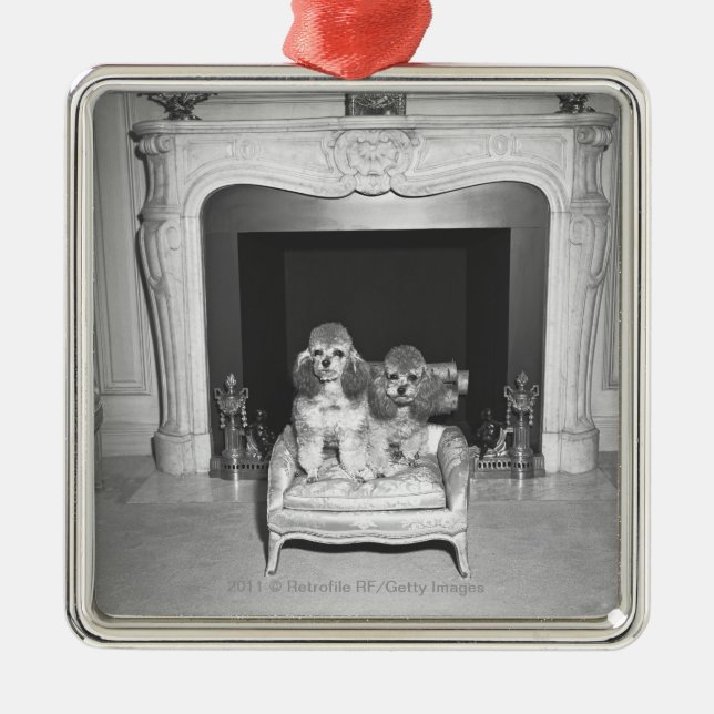 Miniaturpudel, die vor Kamin sitzen Silbernes Ornament (Vorne)