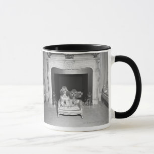 Miniaturpudel, die vor Kamin sitzen Tasse