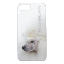 Miniaturpudel-Telefon-Kasten