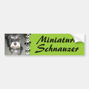 Miniaturschnauzer-Foto Autoaufkleber