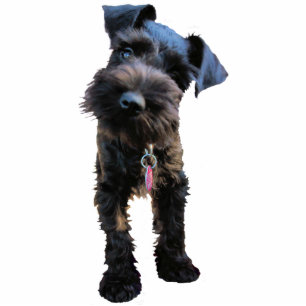 Miniaturschnauzer-Skulptur-Schlüsselanhänger Fotoskulptur Schlüsselanhänger