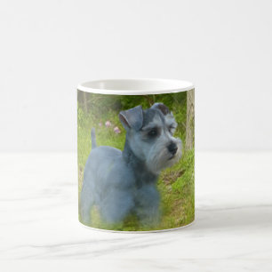 Miniaturschnauzer-Tasse Tasse