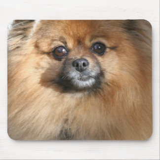 MiniaturSpitz-Mausunterlage Mousepad