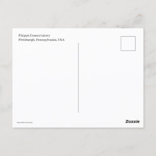 Miniaturtrolly Postkarte