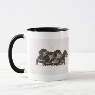 MiniDackel vier Tasse