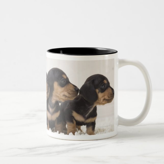 MiniDackel vier Zweifarbige Tasse (Rechts)