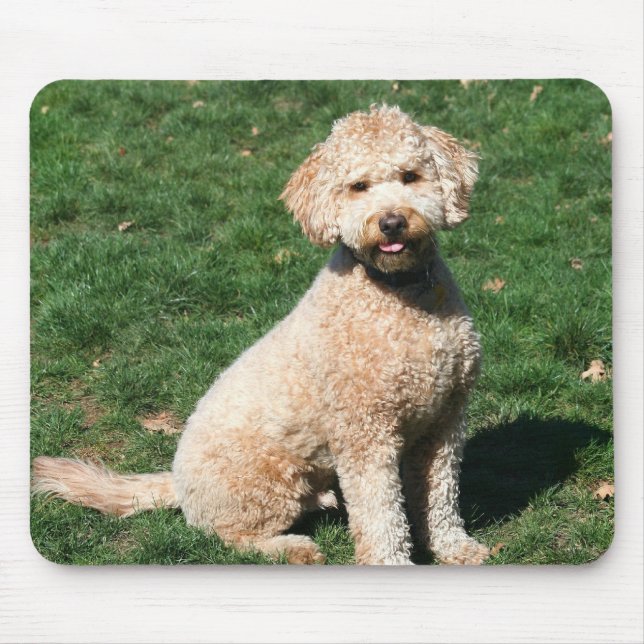 MiniGoldendoodle Welpe mousepad (Vorne)