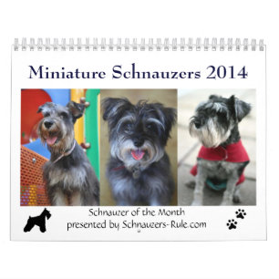 Minikalender des schnauzer-2016 kalender