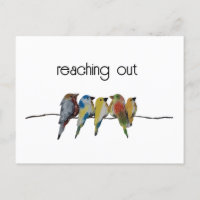 Minimal | Ausgehen | Vögel auf Draht