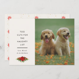 Minimal Cute Saying Pet Christmas Photo Feiertagskarte