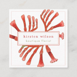 Minimal, elegant Kangaroo Paw Blume Square Busi Quadratische Visitenkarte