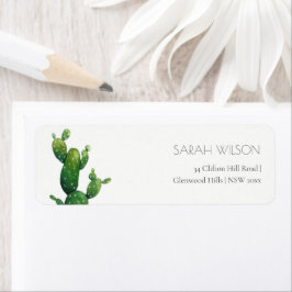 Minimal Potted Cactus Green Foliage Adresse